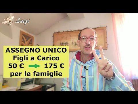 Assegno unico 205 euro