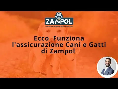 Con te assicurazione cane