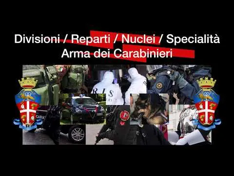Quanti sono i reparti dei carabinieri?