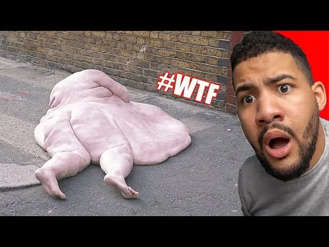 Numero verde postevita